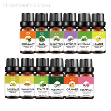 oem essential oil set 12 dengan label pribadi